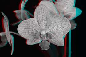 3D Photography Grows Up